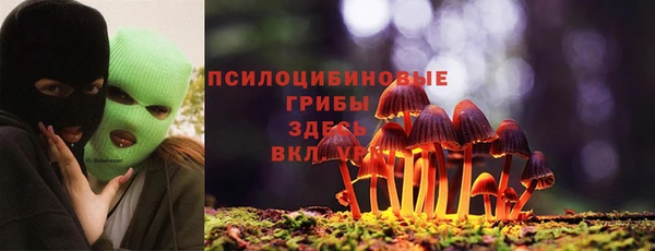 дмт Медвежьегорск