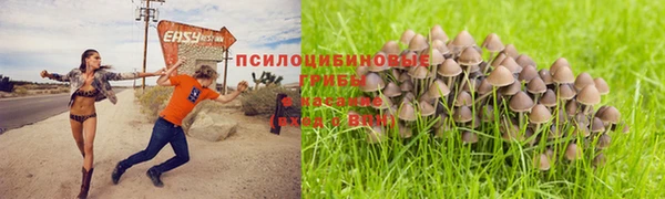 не бодяженный Медногорск
