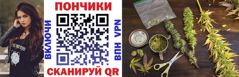 Бошки Шишки сатива Кологрив